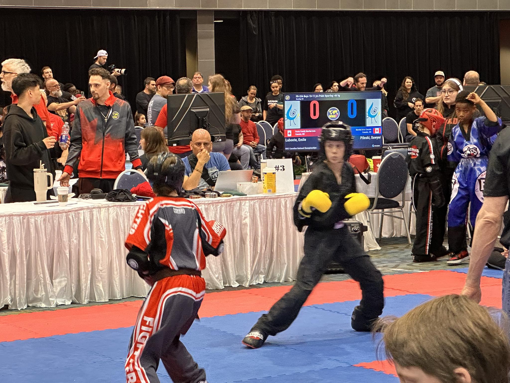 Martial Arts Training